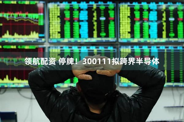 领航配资 停牌！300111拟跨界半导体